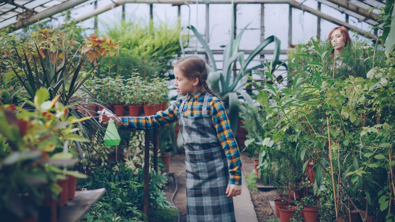 about-02 A child waters plants in a vibrant indoor greenhouse setting.