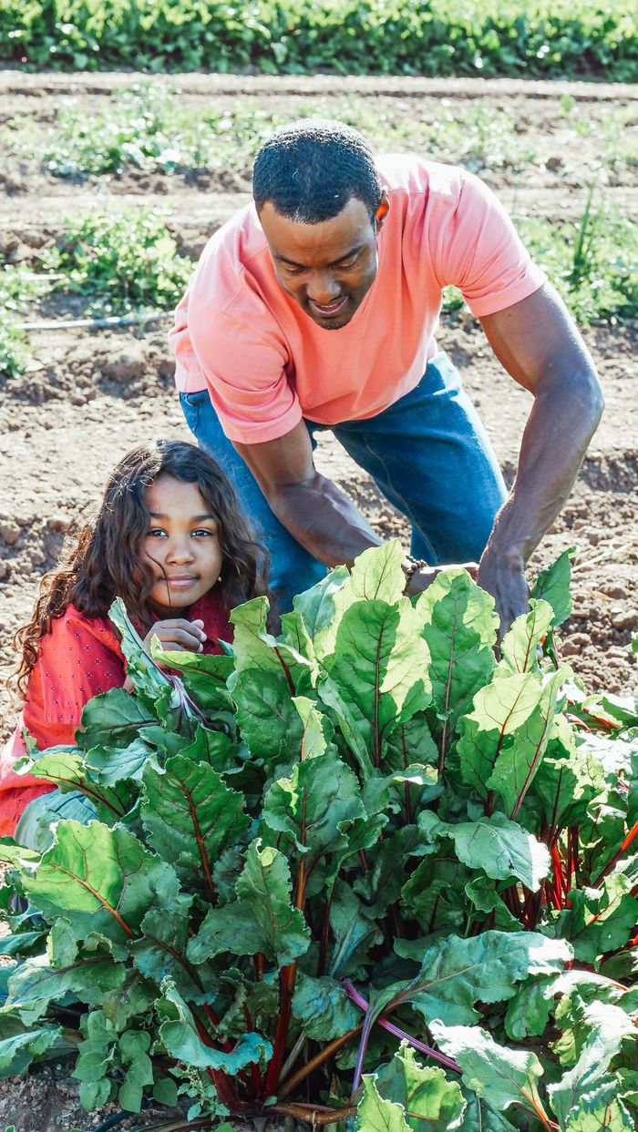 African American male horticulturist with girl against beetroot plant with lush foliage on sunny day